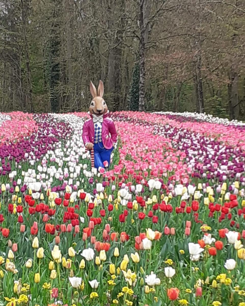 , Château de Cheverny : tulipes par milliers et des oeufs pour Pâques