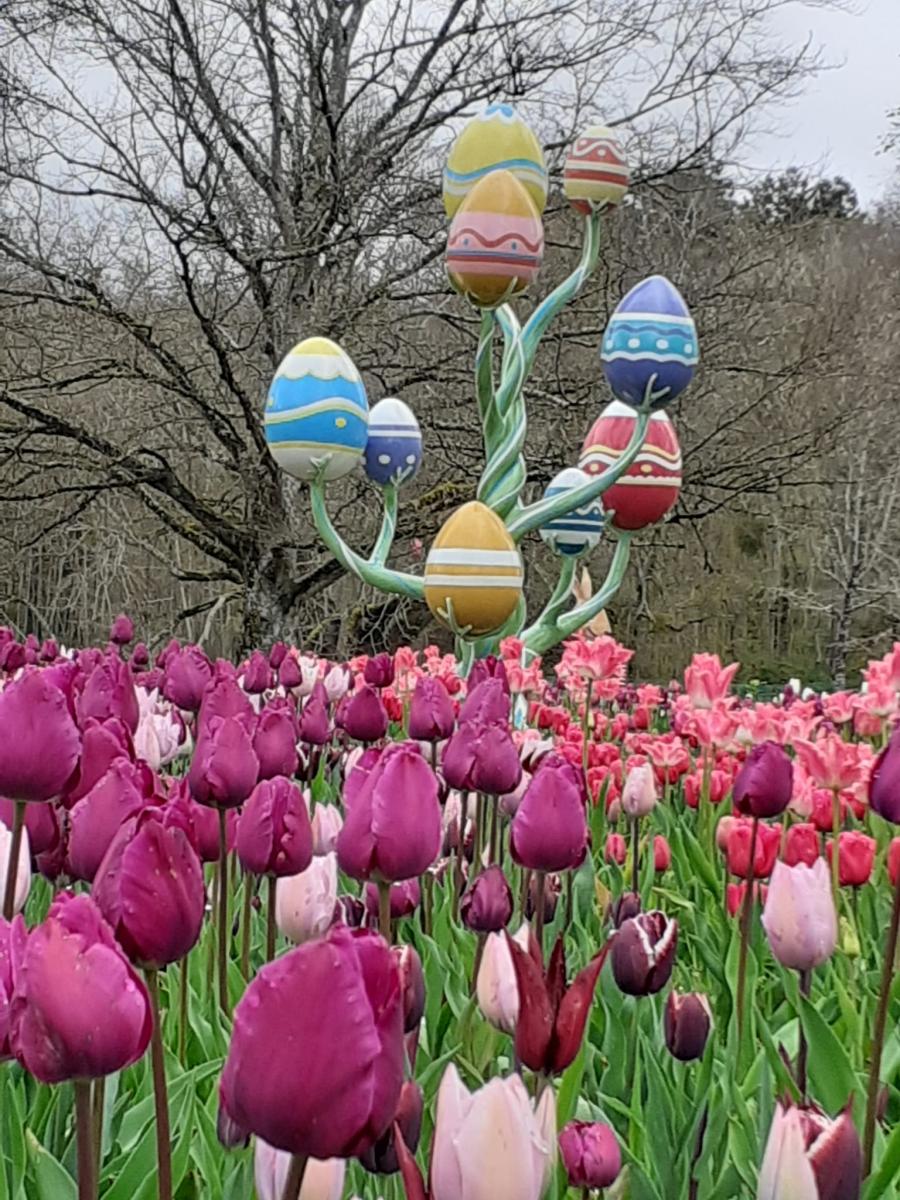 , Château de Cheverny : tulipes par milliers et des oeufs pour Pâques